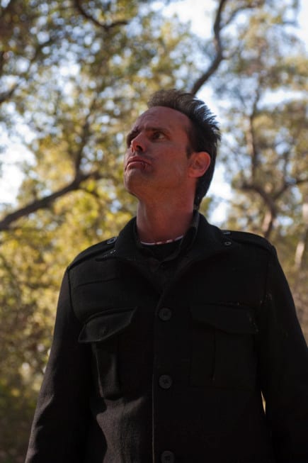 Boyd Looks to the Heavens