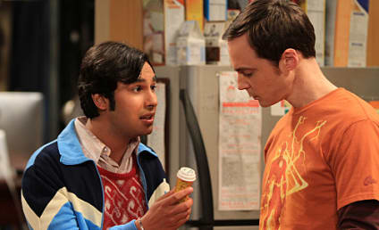 The Big Bang Theory Review: "The Wildebeest Implementation"