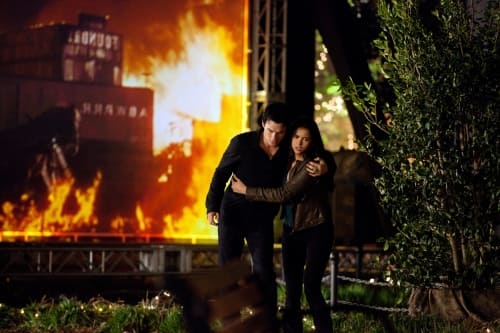 Delena Action
