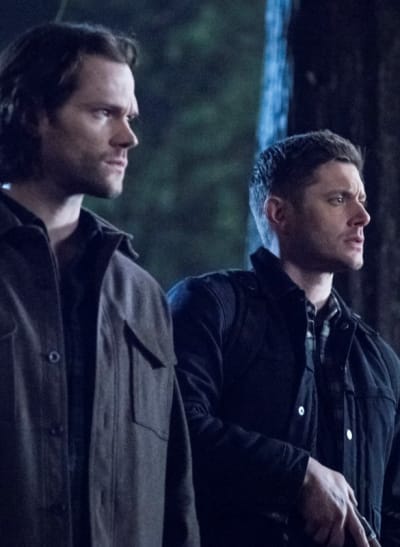 Supernatural Season 14 Episode 16 Review Don T Go Into The Woods Tv Fanatic
