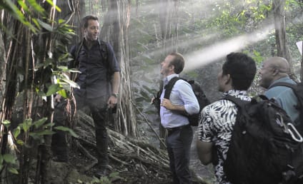 Hawaii Five-0 Preview: Peter Lenkov, Christopher Sean Tease McGarrett's Wedding, Danger of Gabriel