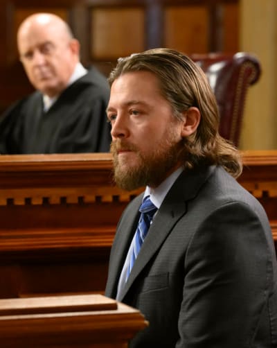 A Defendant Testifies - Law & Order Season 22 Episode 8