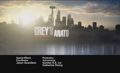Grey's Anatomy Episode Preview: Taking Charge