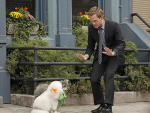Barney's New Wingman