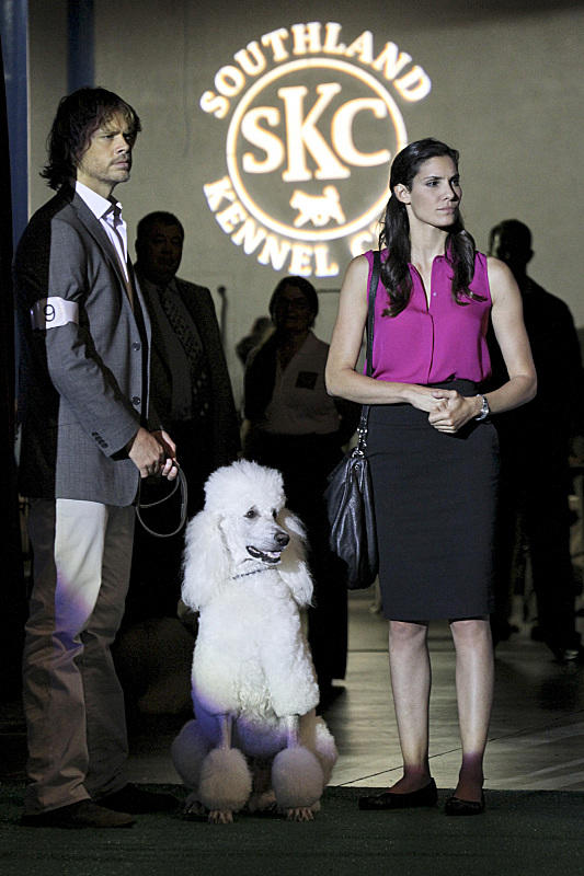 Deeks and Kensi at the Dog Show