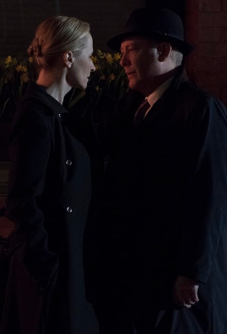 Reunited Again - The Blacklist Season 6 Episode 22
