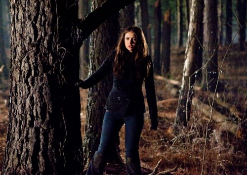 Elena Gilbert Image