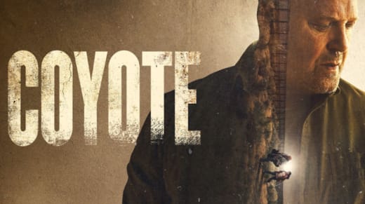 coyote