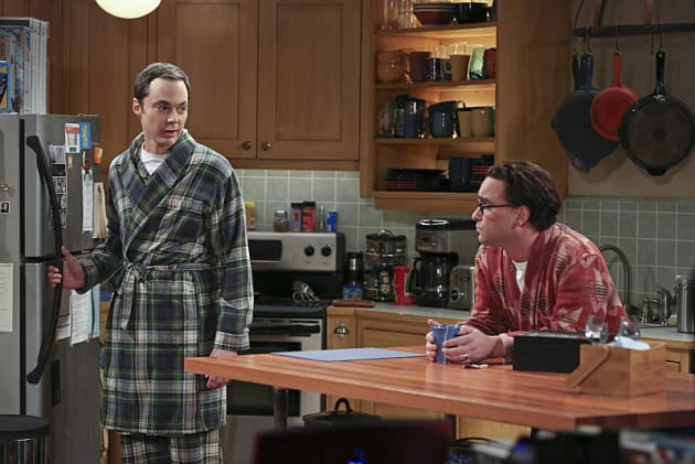 What Now? - The Big Bang Theory Season 9 Episode 2