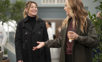 Grey's Anatomy Renewed For Record-Breaking 21st Season at ABC