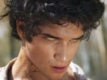 Werewolf Eyes