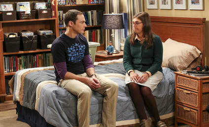 The Big Bang Theory Season 10 Episode 4 Review: The Cohabitation Experimentation