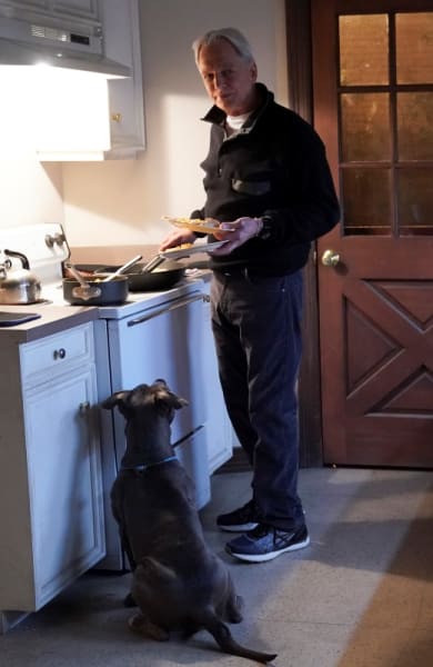 Preparing a Meal - NCIS Season 18 Episode 14