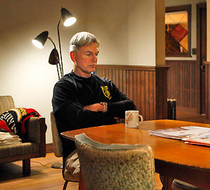 Gibbs at Home