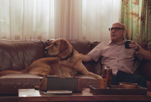 Furry Friend - Hawaii Five-0 Season 10 Episode 20