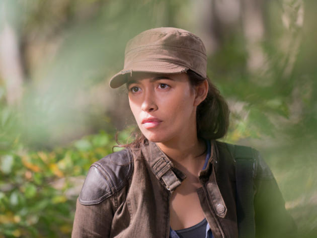 Search Parties Head Out - The Walking Dead