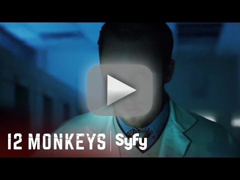 12 hotsell monkeys putlocker