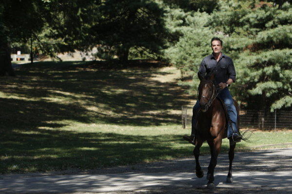 Horse Rider