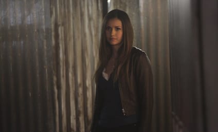The Vampire Diaries Season 8: Will Nina Dobrev Return?