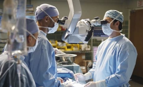 Grey S Anatomy Season 6 Episode 7 Give Peace A Chance Photos Tv Fanatic