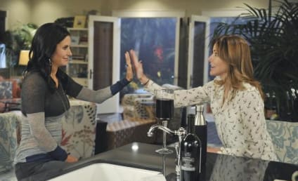 Cougar Town Review: Krazy Kakes and Crazy Families