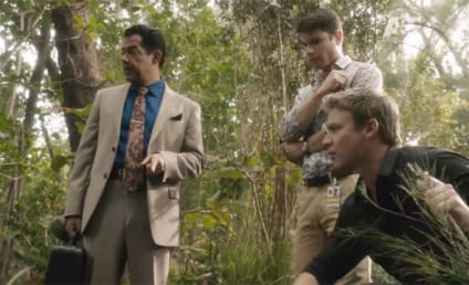 The Glades Review: Eating Away at My Brains