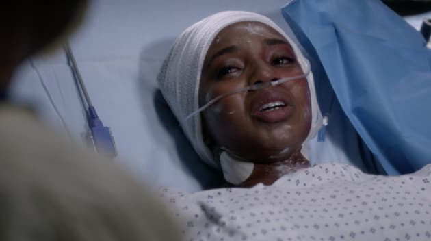 Ziektecijfers gebroken In Grey's Anatomy Season 13 Episode 24 Review: Ring of Fire - TV Fanatic