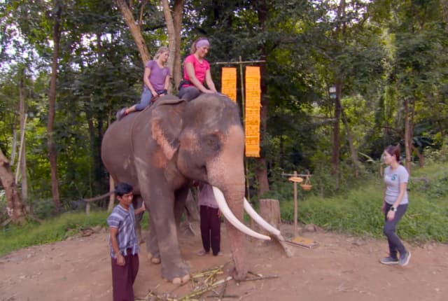 Watch The Amazing Race Season 30 Episode 7 Online Tv Fanatic