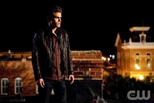Stefan Picture