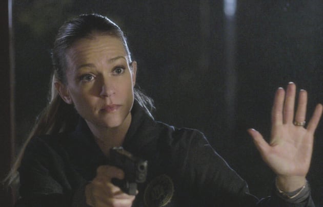 A Cautious Approach - Criminal Minds Season 12 Episode 19