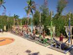 A Difficult Immunity Challenge - Survivor