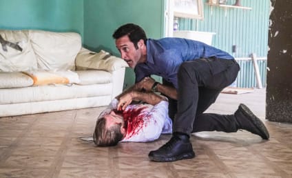 Hawaii Five-0 Series Finale Spoilers: Can Danny Be Saved?