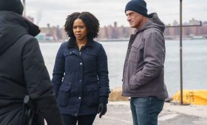 Law & Order: Organized Crime Season 3 Episode 17 Review: Blood Ties