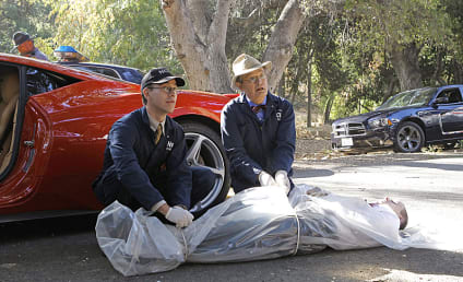 NCIS Review: Medal of Honor and a Ferrari