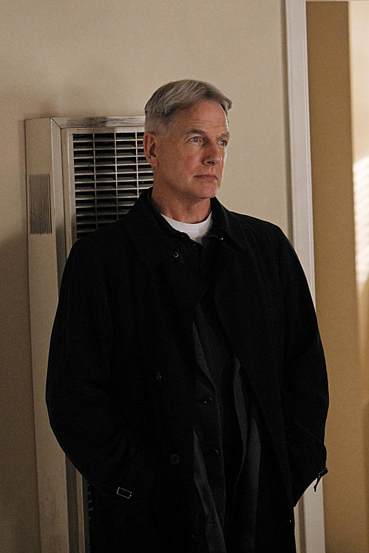 L. J. Gibbs Looks On