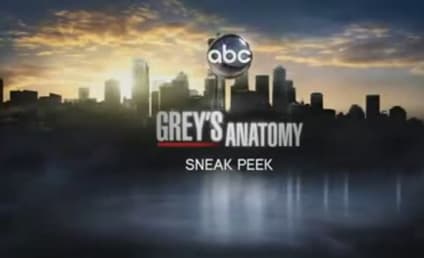 Grey's Anatomy Season Premiere Sneak Peek: What Have I Done?