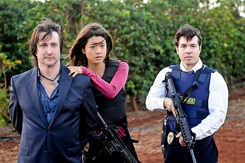 Hawaii five 0 putlocker store