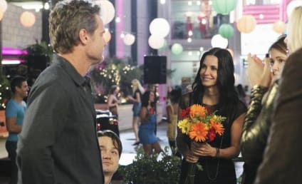 Cougar Town Review: The Usual Laughter