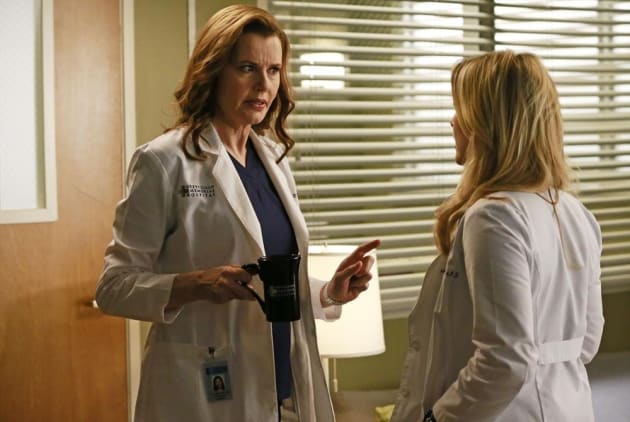 Speech from Herman - Grey's Anatomy Season 11 Episode 8 - TV Fanatic