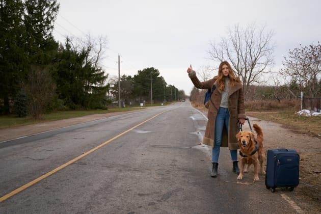 Watch In The Dark Online: Season 3 Episode 4 - TV Fanatic