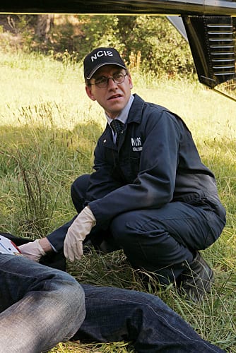 Palmer Pic