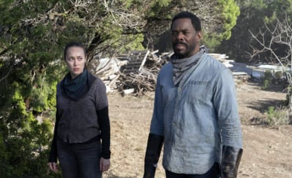 AMC Announces Fate of Fear the Walking Dead
