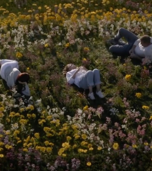 Field of Dreams - Grey's Anatomy Season 17 Episode 10