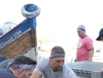 Sorting Fish - The Amazing Race