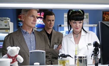 NCIS Photo Gallery: An Explosive Premiere