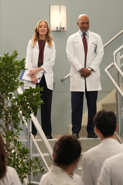 Teddy's Big News  - Grey's Anatomy Season 19 Episode 18