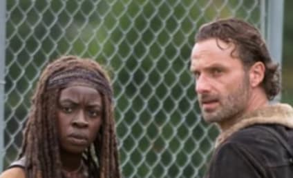 The Walking Dead Final Episodes Wish List: Rick & Michonne, A Farewell for Carol, & More!