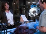 Cold Case - Law & Order: SVU