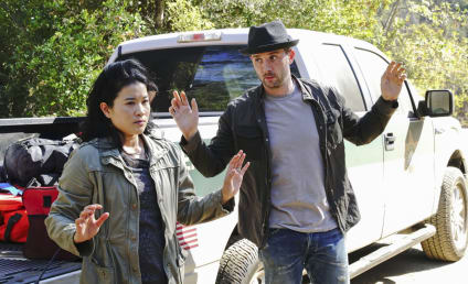 Scorpion Season 4 Episode 10 Review: Crime Every Mountain