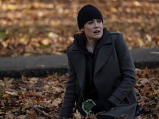 The blacklist season 8 discount online